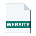 .WEBSITE icon